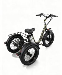 feng trike 3