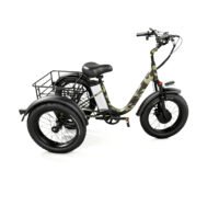 feng trikes1
