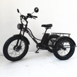 Powerful Tricycle 500W 48V Motor 24" Front Wheel