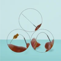 8405_3d_cleaning